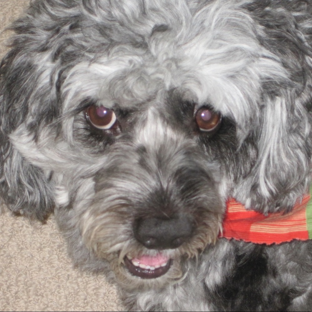 Meet your Posher, Kim